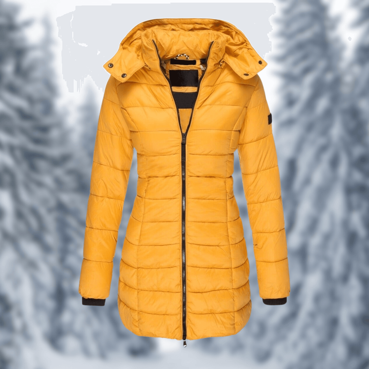 Mid-Length Winter Coat with Detachable Hood